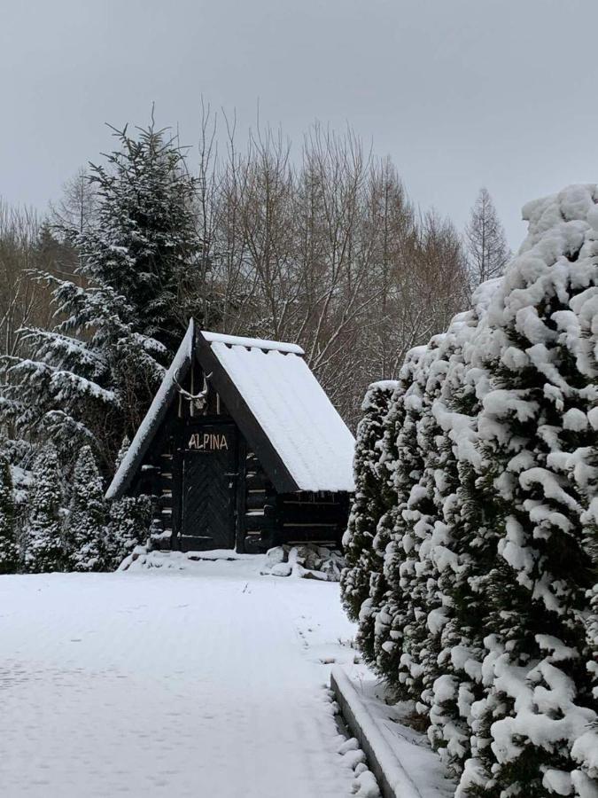 Alpina Otel Krynica Zdroj Dış mekan fotoğraf